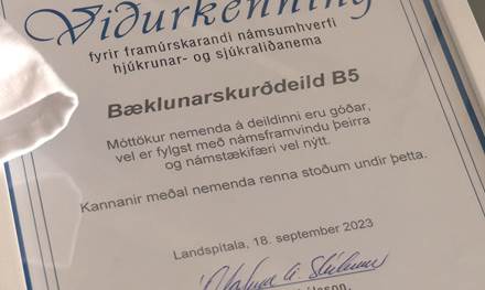 Baeklunarskurddeild-B5-fekk-vidurkenningu-fyrir-framurskarandi-namsumhverfi-myndskeid
