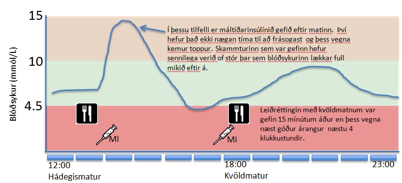 Að gefa réttan skammt með máltíðum