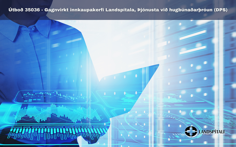 (DPS) Gagnvirkt innkaupakerfi - Þjónusta við hugbúnaðarþróun